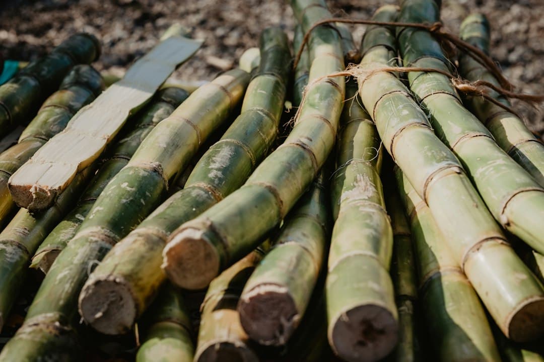Sugar Industry